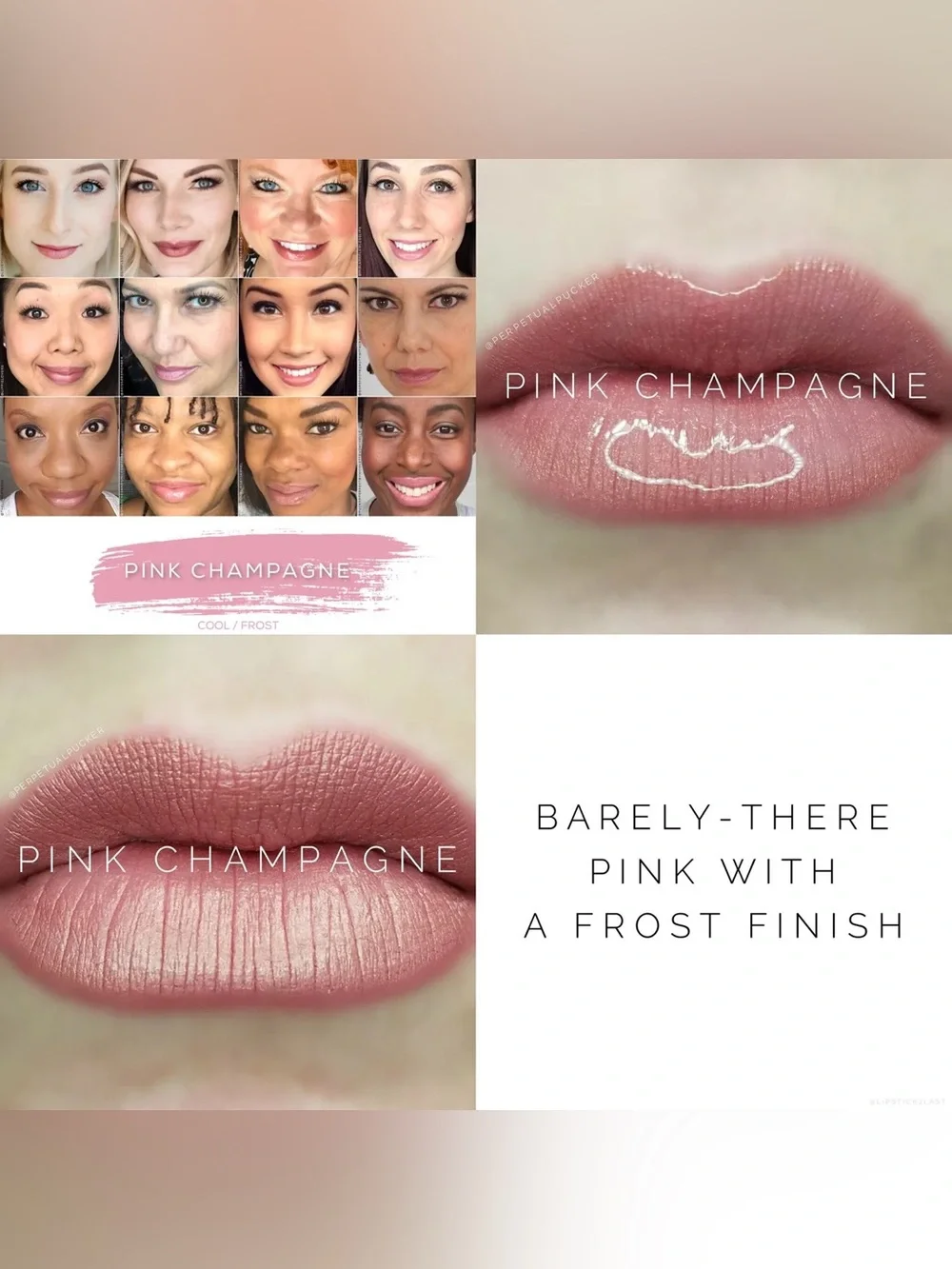 Lipsense Pink Champagne NEW Frost Cool Neutral Long Lasting Liquid Lipstick